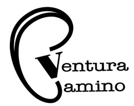 Otorrinolaringólogo Ventura Camino